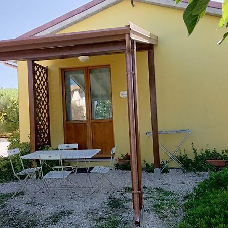 Agriturismo I Ciliegi Appartamento Ginestra Montignano Eksteriør billede