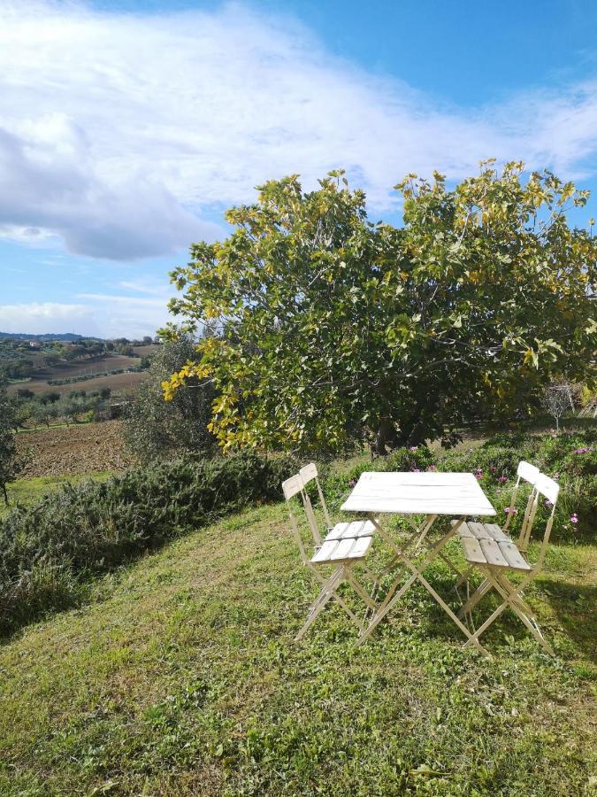 Agriturismo I Ciliegi Appartamento Ginestra Montignano Eksteriør billede