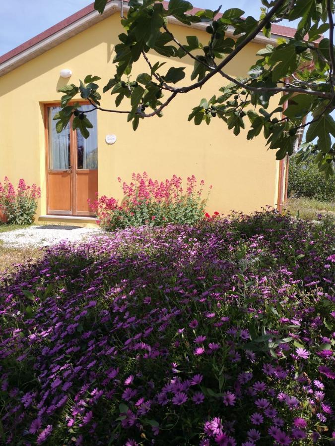 Agriturismo I Ciliegi Appartamento Ginestra Montignano Eksteriør billede
